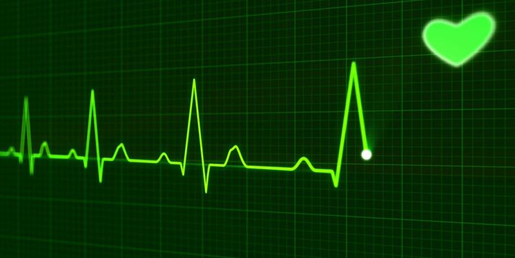 The differences between ECG heart rate monitors and optical heart